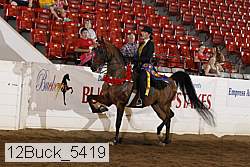 12buck_5419 proof