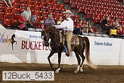 12buck_5433 proof