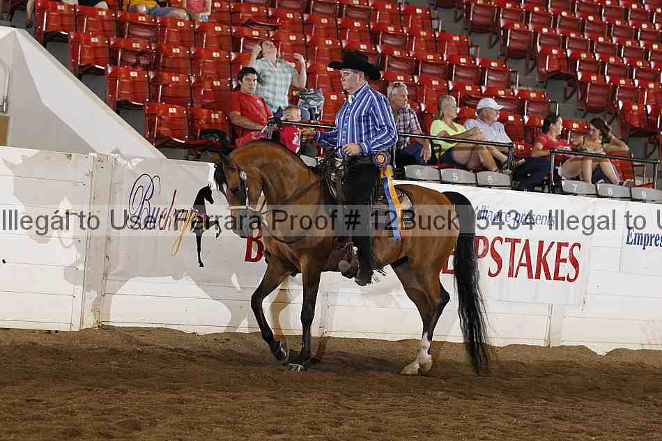Proof 12buck_5434