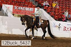 12buck_5437 proof