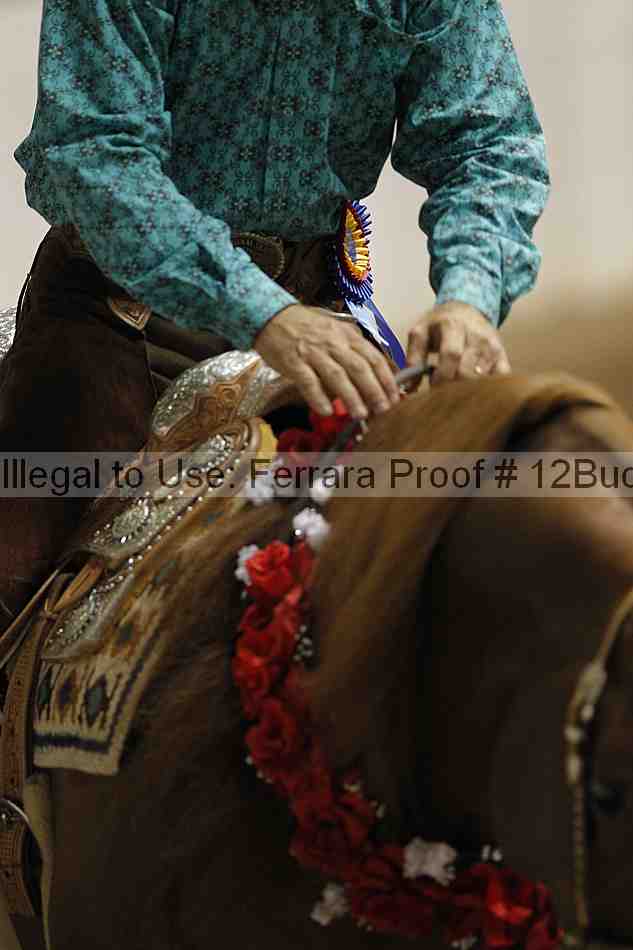 Proof 12buck_5445