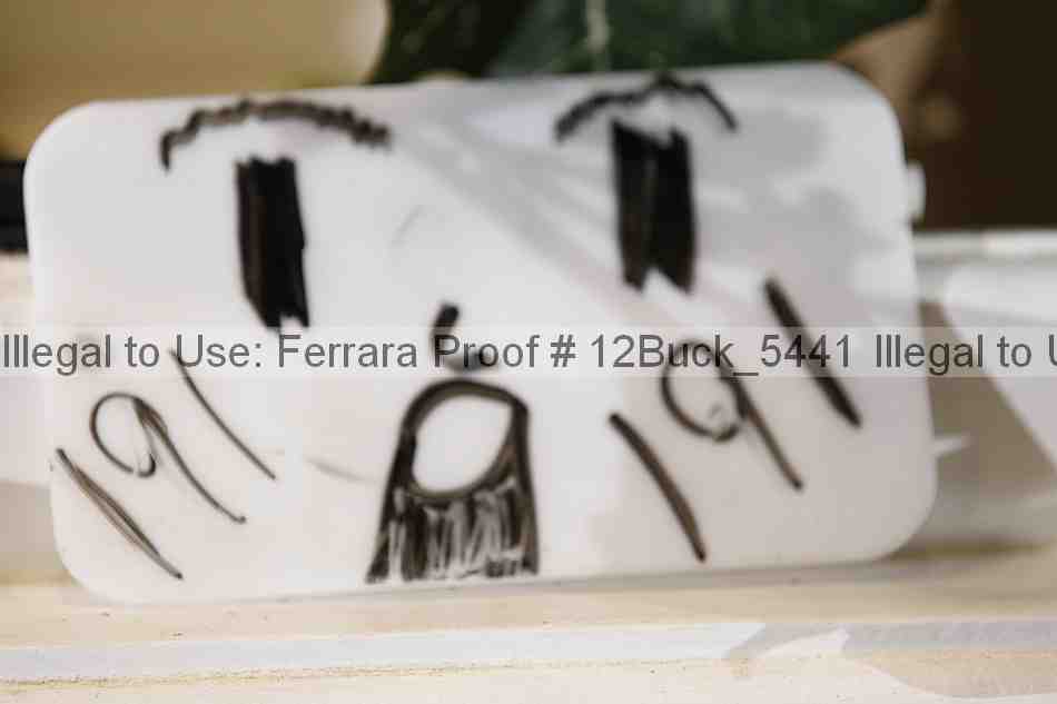 Proof 12buck_5441