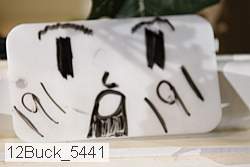 12buck_5441 proof