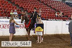 12buck_5447 proof