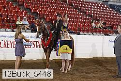 12buck_5448 proof
