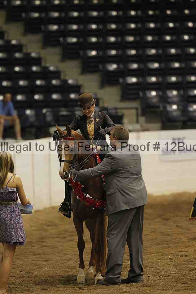 Proof 12buck_5452