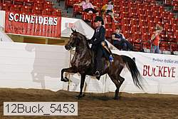 12buck_5453 proof