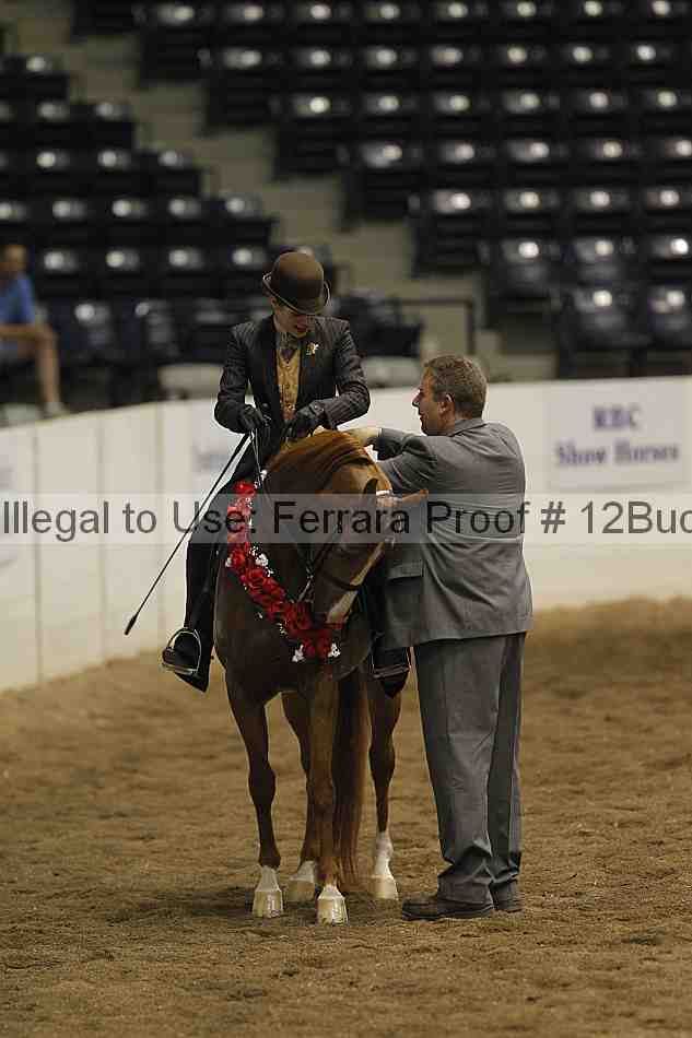 Proof 12buck_5455