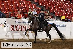 12buck_5456 proof