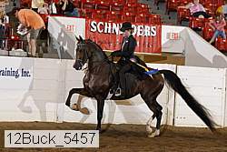 12buck_5457 proof