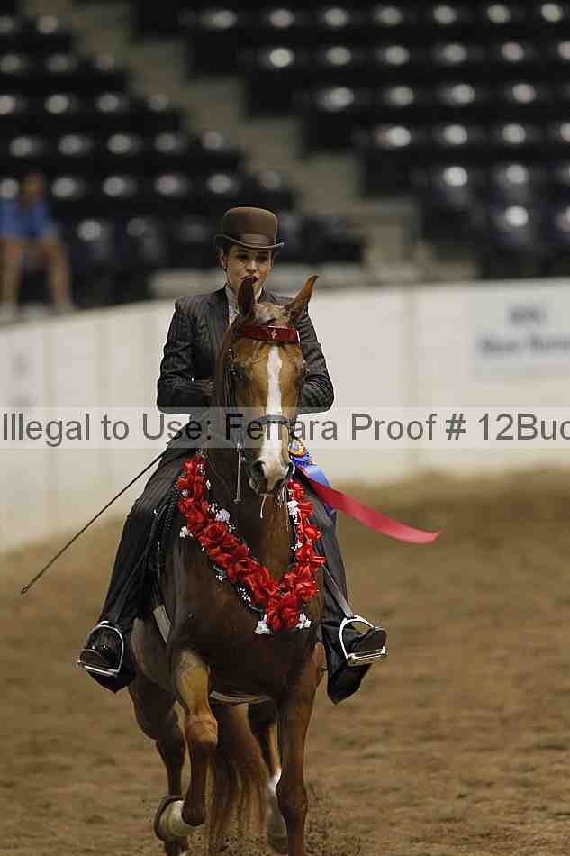Proof 12buck_5459