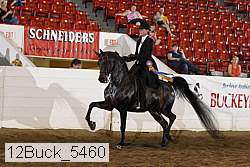12buck_5460 proof