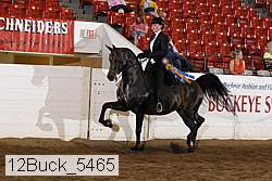 12buck_5465 proof