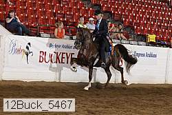 12buck_5467 proof