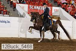 12buck_5468 proof