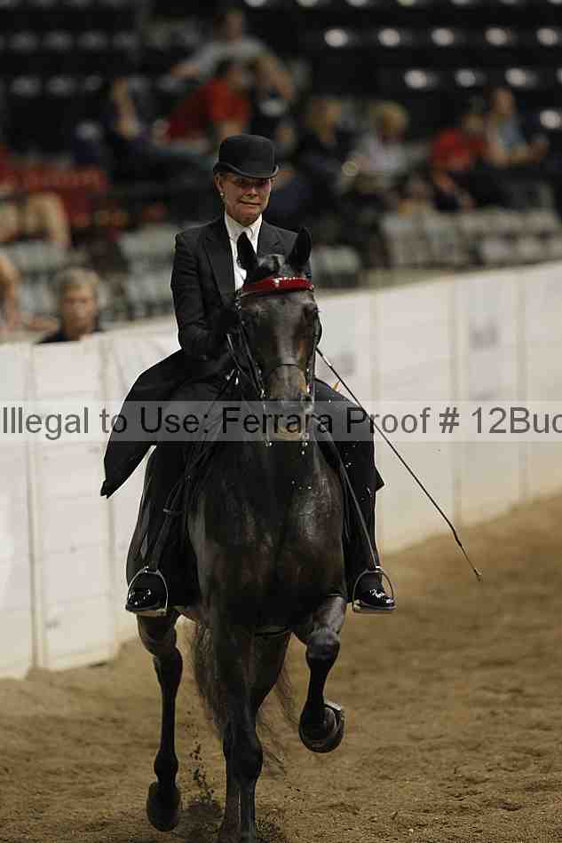 Proof 12buck_5470