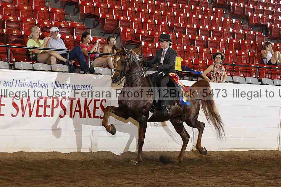 Proof 12buck_5473