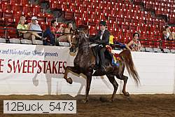 12buck_5473 proof