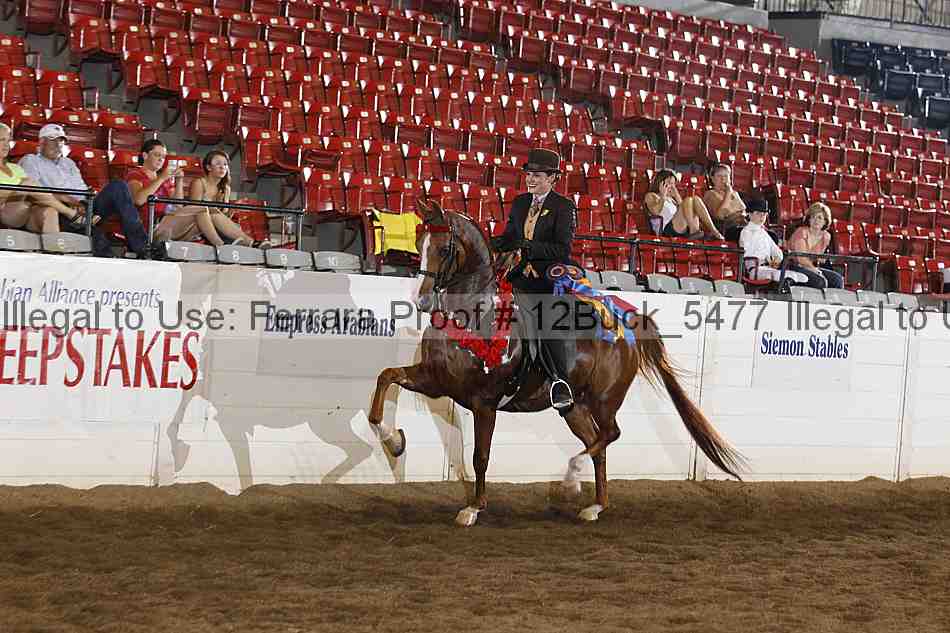 Proof 12buck_5477