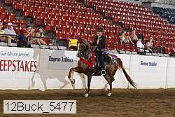 12buck_5477 proof