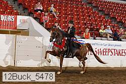 12buck_5478 proof