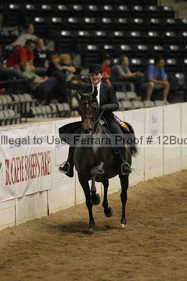 Proof 12buck_5479