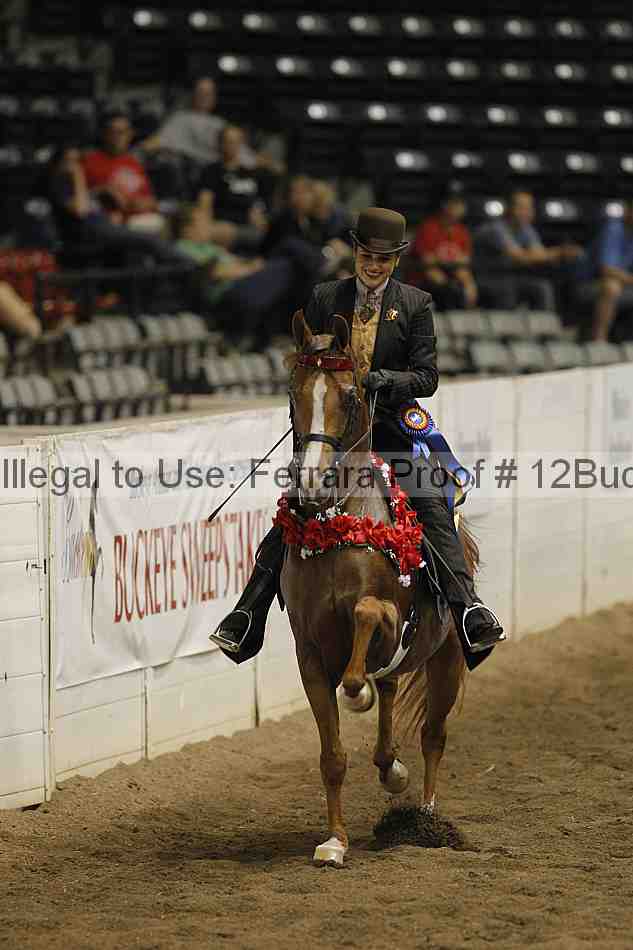 Proof 12buck_5489