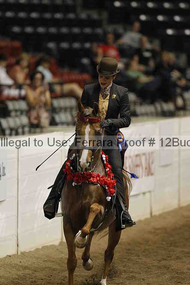 Proof 12buck_5490