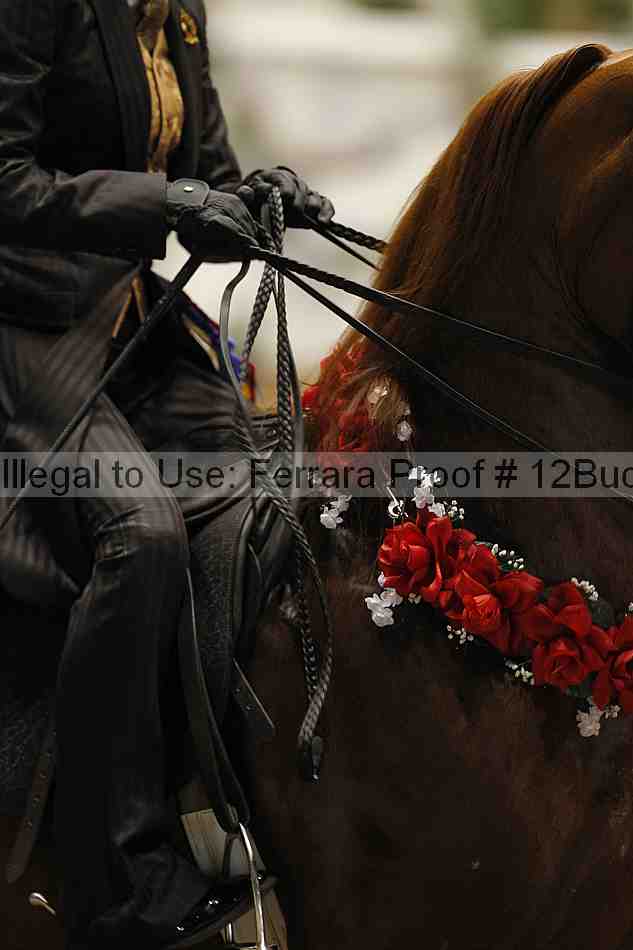Proof 12buck_5491