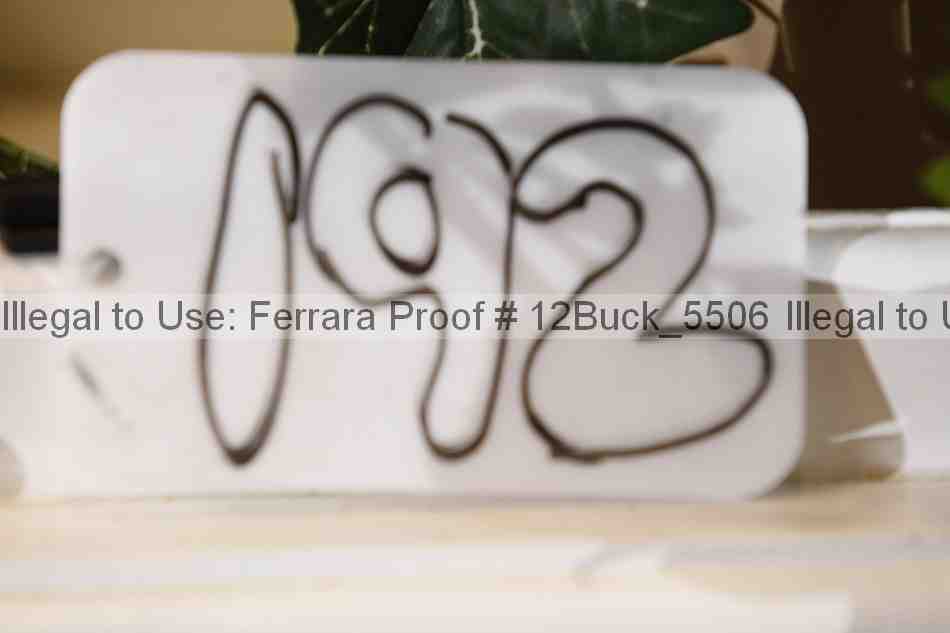 Proof 12buck_5506