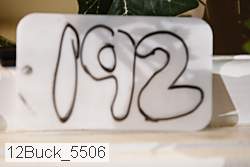 12buck_5506 proof
