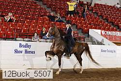 12buck_5507 proof