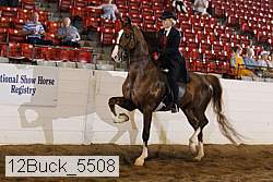 12buck_5508 proof