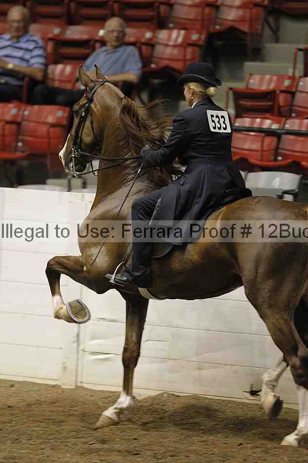 Proof 12buck_5509