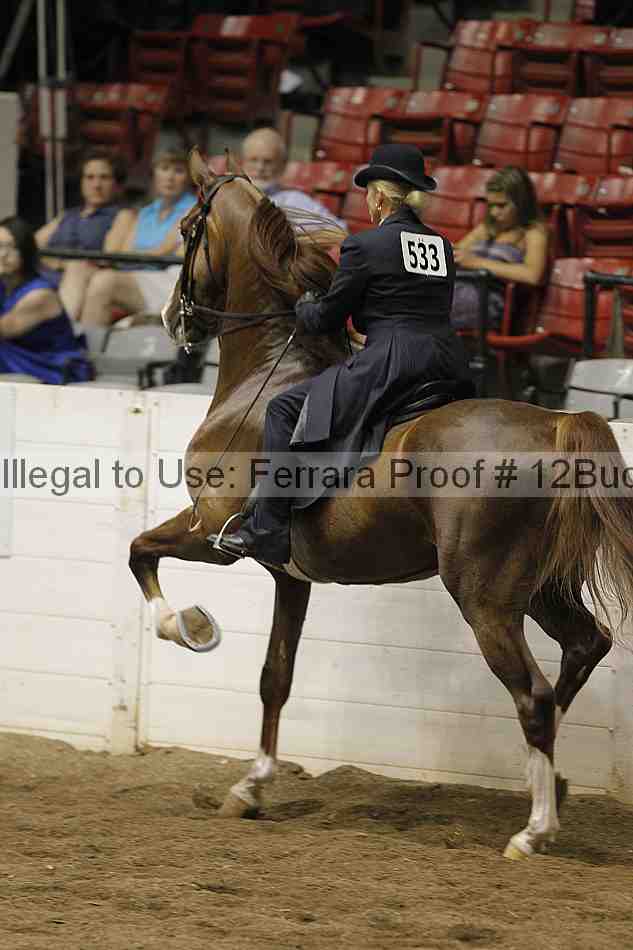Proof 12buck_5510