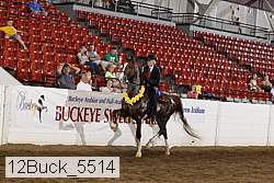 12buck_5514 proof