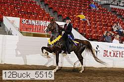 12buck_5515 proof