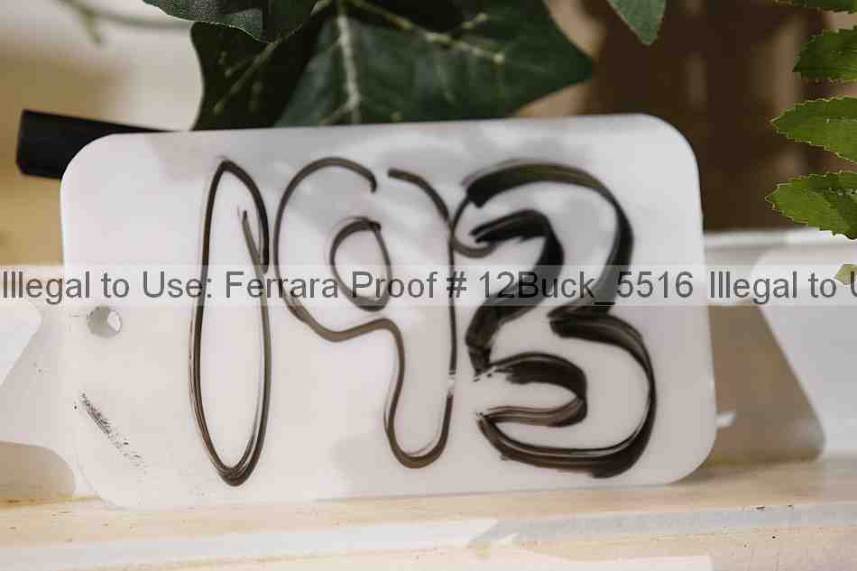 Proof 12buck_5516
