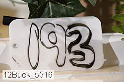 12buck_5516 proof