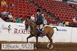 12buck_5522 proof