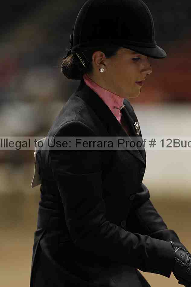 Proof 12buck_5525