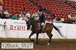 12buck_5527 proof