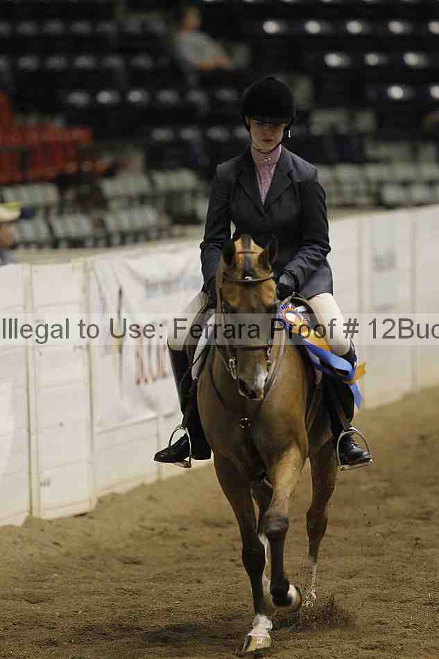 Proof 12buck_5528