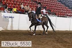 12buck_5530 proof