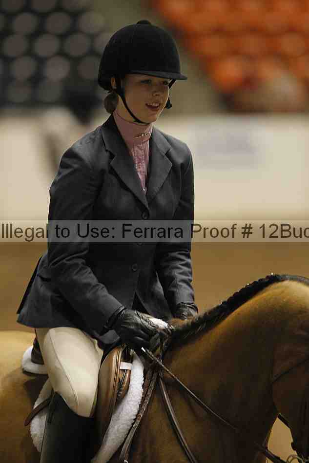 Proof 12buck_5531