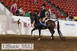 12buck_5532 proof
