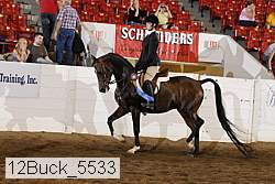 12buck_5533 proof