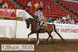 12buck_5535 proof