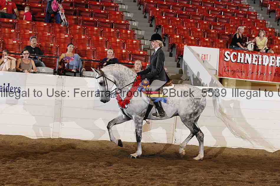 Proof 12buck_5539