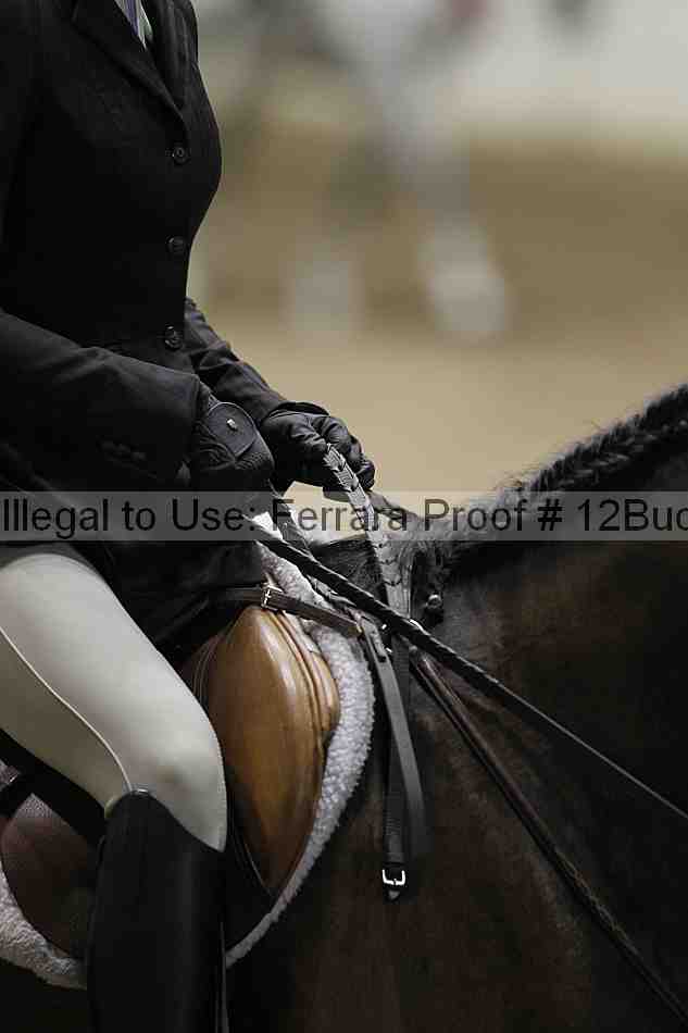Proof 12buck_5541